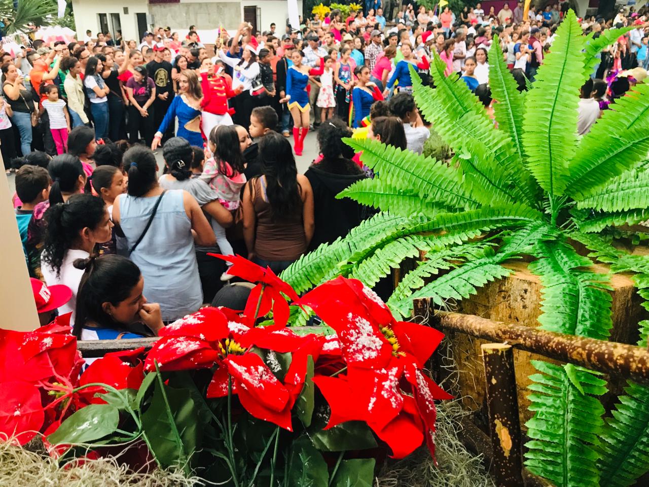 esteli